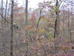 IMG_0979.JPG