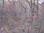 IMG_0982.JPG