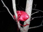 !cid_image002.jpg