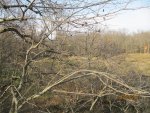 IMG_1027.JPG
