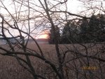 IMG_1029.JPG