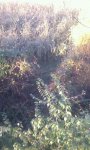 uploadfromtaptalk1320525768949.jpg
