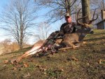 2011 buck.jpg
