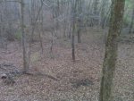 doe down.jpg