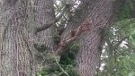 20150627_164529.jpg