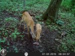 HUNT7752.jpg