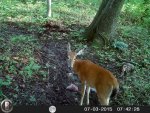 HUNT7843.jpg