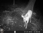 HUNT7908.jpg