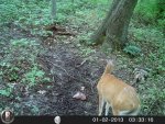 HUNT7922.jpg