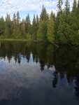 ImageUploadedByTapatalk1436551470.393325.jpg