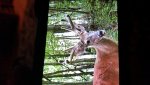 20150718_230324.jpg