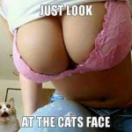 ImageUploadedByTapatalk1437571994.678570.jpg