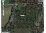 land pic 2.jpg