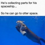 ImageUploadedByTapatalk1438702819.033610.jpg
