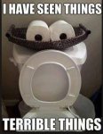ImageUploadedByTapatalk1438951601.933380.jpg