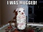 ImageUploadedByTapatalk1439157456.450718.jpg