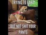 ImageUploadedByTapatalk1439246866.237220.jpg