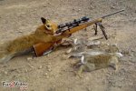 fox-hunting-like-a-boss.jpg