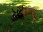 IMG00092-20100727-1342.jpg