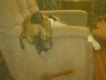 IMG00667-20110511-0144.jpg