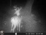 HUNT8214.jpg