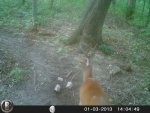 HUNT8346.jpg