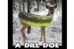 ImageUploadedByTapatalk1439581768.057688.jpg