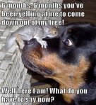 ImageUploadedByTapatalk1439930589.092102.jpg