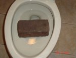 ImageUploadedByTapatalk1439930622.856583.jpg