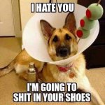 ImageUploadedByTapatalk1440120018.334128.jpg