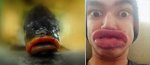 550x235xkylie-jenner-fish-lips-10-550x235.jpg