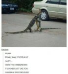 550x596xtumblr-posts-funny-14-550x596.jpg