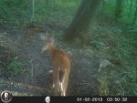 HUNT8084.jpg