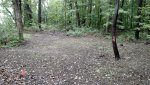 uploadfromtaptalk1441387299144.jpg