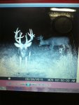 Tines 2015.jpg
