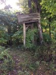 IMG_3284.jpg