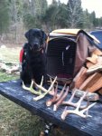 antler.jpg
