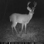 tight8trailcam.jpg