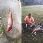 shwacker cut.jpg