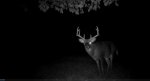 double drop 10-14-15.jpg