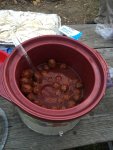 ImageUploadedByTapatalk1445117021.740006.jpg