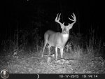 HUNT0434.jpg