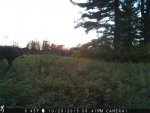 IMG_0053web.jpg