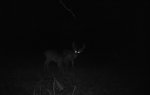 10pt.jpg