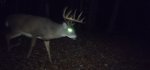 10pt3.jpg