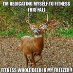 Fitness.jpg