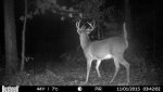 HUNT0026.jpg