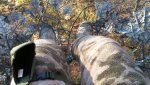 uploadfromtaptalk1447023752808.jpg