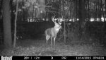 HUNT0124.jpg