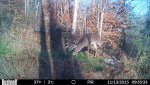 HUNT0199.jpg